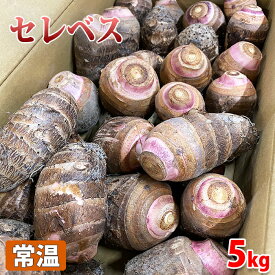 楽天市場 里芋 赤芽の通販 楽天市場 里芋 赤芽の通販