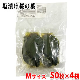 舟山　桜葉緑　塩漬け桜の葉 （Mサイズ） 50枚×4袋入り 桜餅用