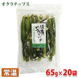 【送料無料】オクラチップス　65g×20パック（箱）