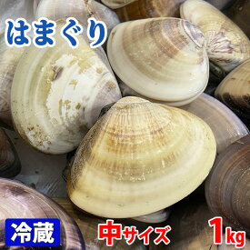 千葉県産　はまぐり（蛤） 中サイズ　約1kg