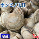 千葉県産 （活） ホンビノス貝（白はまぐり） 約1kg 中〜特大サイズ