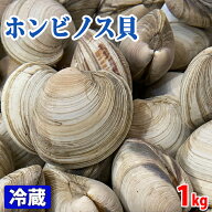 千葉県産 （活） ホンビノス貝（白はまぐり） 約1kg （1個あたり約50g〜100g）