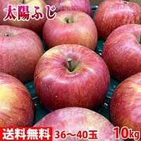 　青森県産　葉とらずりんご　高糖度太陽ふじ　36～40玉サイズ　10kg
