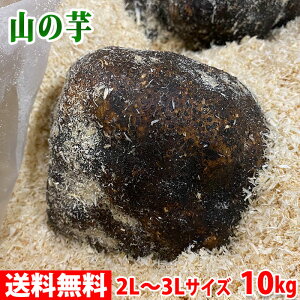 yz XY@R̈ (ˈ) Di@2L`3LTCY@10kg (15`21) ۈ ۂ