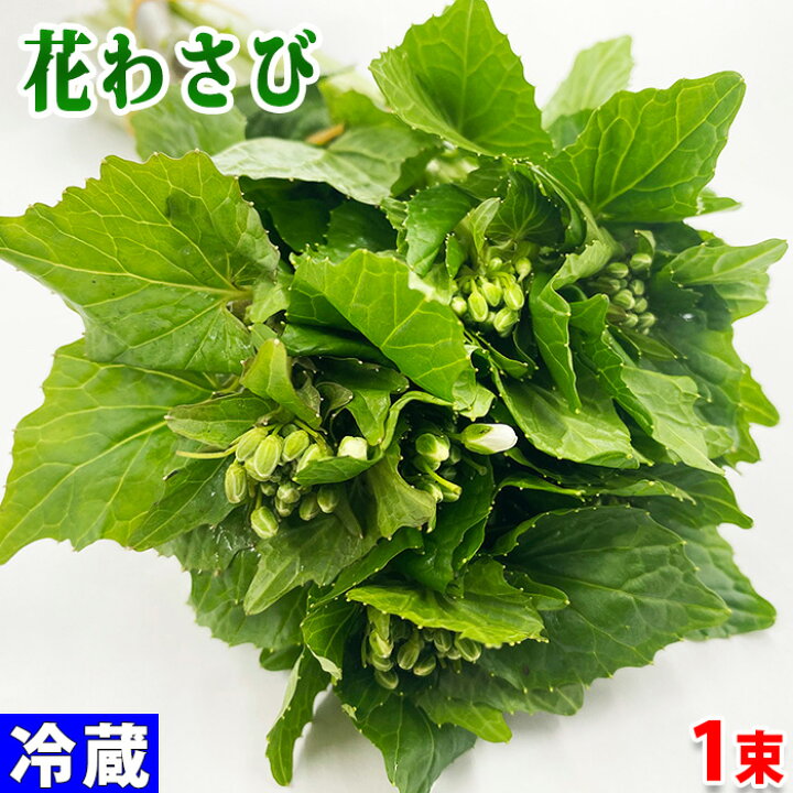 楽天市場 島根県産 花わさび 1束 約100g 生鮮食品直送便