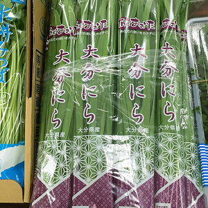 啪Y@啪ɂ i1j Y ɂ j