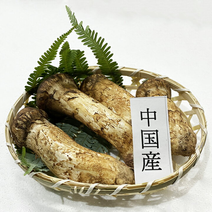 楽天市場】中国産 松茸（まつたけ）つぼみ 3〜6本入り 約200g（籠 