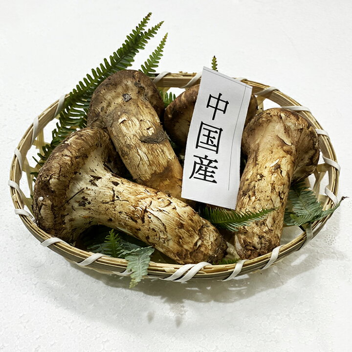 楽天市場】中国産 松茸（まつたけ）つぼみ 約200g : 生鮮食品直送便