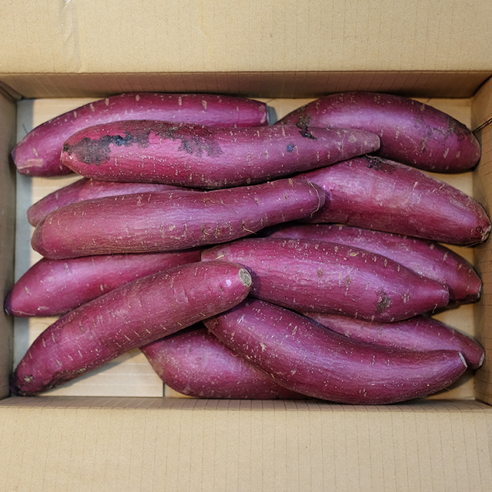 【送料無料】千葉県産（JAかとり）さつまいも　ふくむらさき　秀品　Lサイズ　約4.5kg（13本前後入）箱入り | 生鮮食品直送便