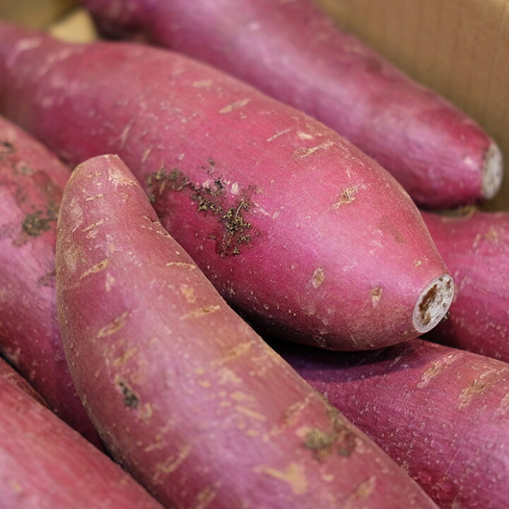 千葉県産 さつまいも ふくむらさき 秀品 2Lサイズ 約4.5~5kg(8本前後入) : 生鮮食品直送便 千葉県産 さつまいも ふくむらさき 秀品 2Lサイズ 約4.5~5kg(8本前後入) : 生鮮食品直送便