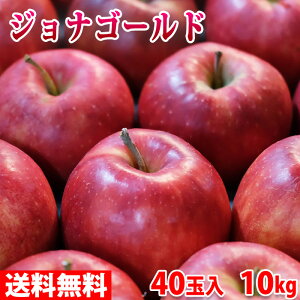 yz XY@WiS[h@Gi@40ʁ@10kg ij Y 