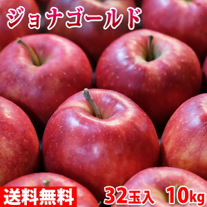 yz XY@WiS[h@Gi@32ʁ@10kg ij Y 