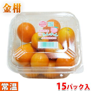 yz {茧Y@i񂩂j Gi@2L`3LTCY@15pbNij