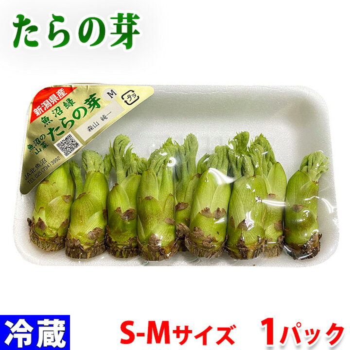 楽天市場】新潟県産 タラの芽 S〜Mサイズ 50g（約10本〜18本） : 生鮮  