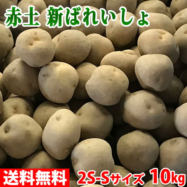 楽天市場】鹿児島県産 赤土 新ばれいしょ じゃがいも A等級 2S〜S 