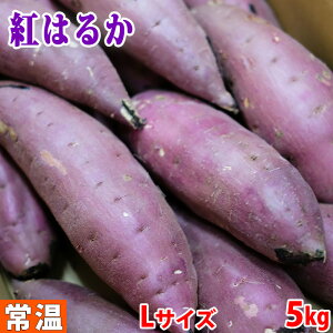 yz錧YiJA鈮j܂@g͂邩@G@LTCY@5kgi15{Oj 