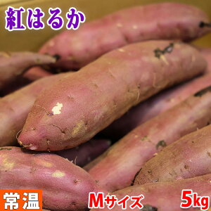 yz錧YiJA鈮j܂@g͂邩@G@MTCY@5kgi20{Oj 