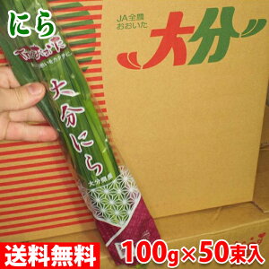 yz啪Y@ɂ@MTCY@100g×50 ij
