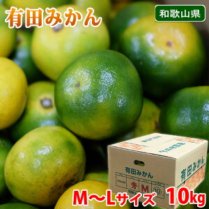 【送料無料】 和歌山県産 有田みかん (極早生) 秀品 2S〜Sサイズ / M〜Lサイズ 10kg (箱) みかん