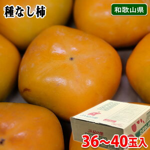 yz a̎RY@햳` @Gi@S`4LTCY@24`46ʓ@7.5kg ij Ȃ`