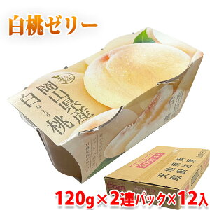 ̉ʎ@RY@@[[ i120g×2ApbNj Y ʕgp [[ XC[c