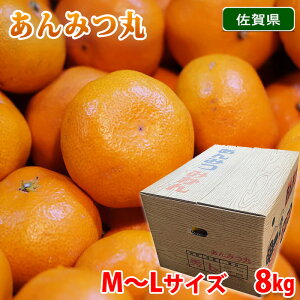 yz ꌧY@݂݂ i݂ہj Gi@M`LTCY@8kg ij