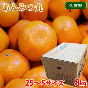 yz ꌧY@݂݂ i݂ہj Gi@2S`STCY@8kg ij