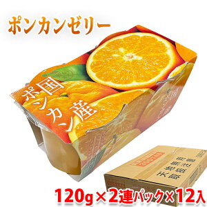 ̉ʎ@Y@|J@[[i120g×2ApbNj Y ʕgp kn[[ XC[c