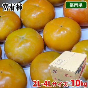 yz Y@xL`@Gi@2L`4LTCY i27`36ʓj 10kg ij Y t[c `