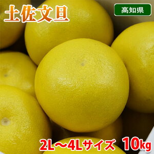 �y���������z ���m���Y�@�y�����U�@�G�i�@2L�`4L�T�C�Y�@10kg �i���j ���Y ���k �݂���