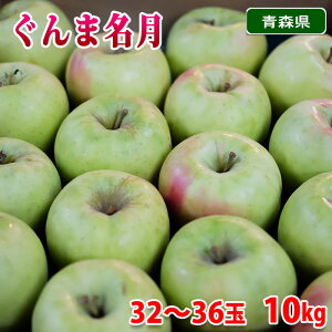 yz XY@񂲁@ܖ@Gi@32`36ʁ@10kg ij Y ь uh