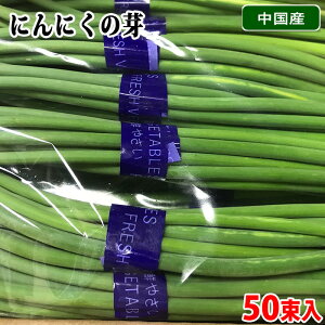 Y@ɂɂ̉@10×5 i50j  Ɩp  Zbg