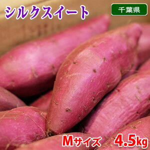 yztYiJAƂj܂@VNXC[g@Gi@MTCY@4.5kg i20{Oj