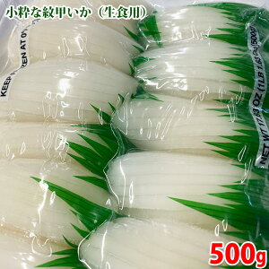 Ȗb iHpj 500g pbN Ⓚ CJ Ɩp Xbgb