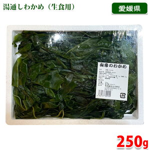 R̂킩߁@ʂ킩 iHpj 250g ij Ɩp QY 킩 C