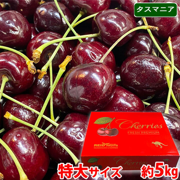 楽天市場】タスマニア産 チェリー 特大サイズ 9.5R （28mm以上） 約5kg 