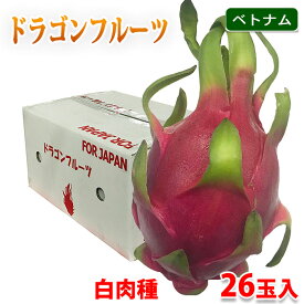 【送料無料】 ベトナム産　ドラゴンフルーツ　白肉種　26玉入り（箱）