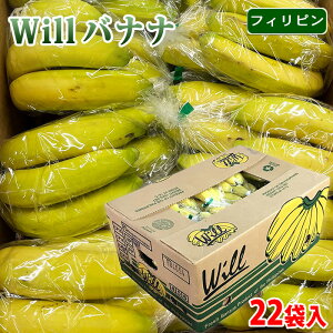 yz tBsY@oii@Will i[hj 22ܓ ij