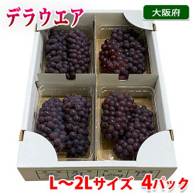 楽天市場】和歌山県産 紅南高梅 秀品 M〜2Lサイズ 10kg （箱） 国産 梅 