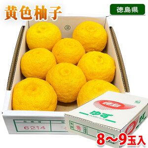 yz Y@FMqi䂸j8`9 / 10`15ʓ@1.3kg iϔj