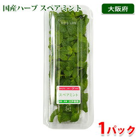 大阪府産他　スペアミント　食用ハーブ　約20g　国産