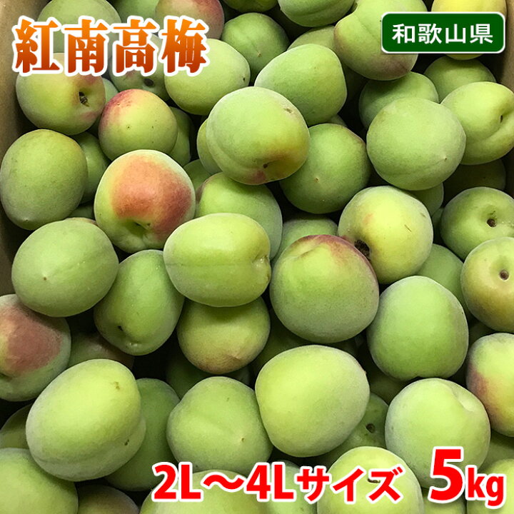 楽天市場】和歌山県産 紅南高梅 秀品 2L〜4Lサイズ 5kg （箱） 国産 梅 
