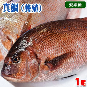 QY@{B@^ i}_Cj  1 i800g`2.5kgOj T[rXL Y Y  ^C