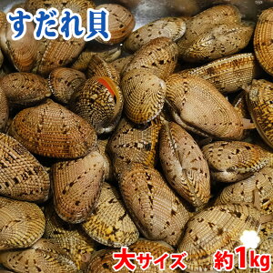 mY ij L iPLj EETCY@1kg