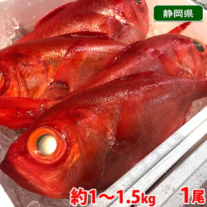 yz ÉY@ڑ iL_Cj 1@1kg`1.5kg