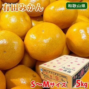 yz a̎RY@Lc݂@Gi@S`MTCY@5kg ij