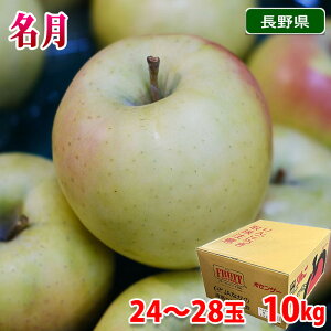 yz 쌧Y@񂲁@@Gi@32`36ʓ / 24`28ʓ@10kg ij