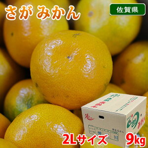 yz ꌧY@݂@JA@Gi@2LTCY@9kg ij Y t[c