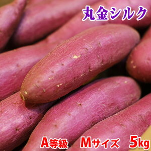 yz tY@}L iۋj VNXC[g@܂@A@S`2LTCY@5kg ij