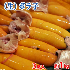 ɌY@{q ij 3`5 i12j 1kg {̗ i炷݌j ڂ X